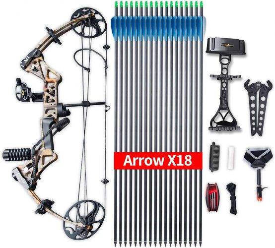 Compound Bow Topoint Archery