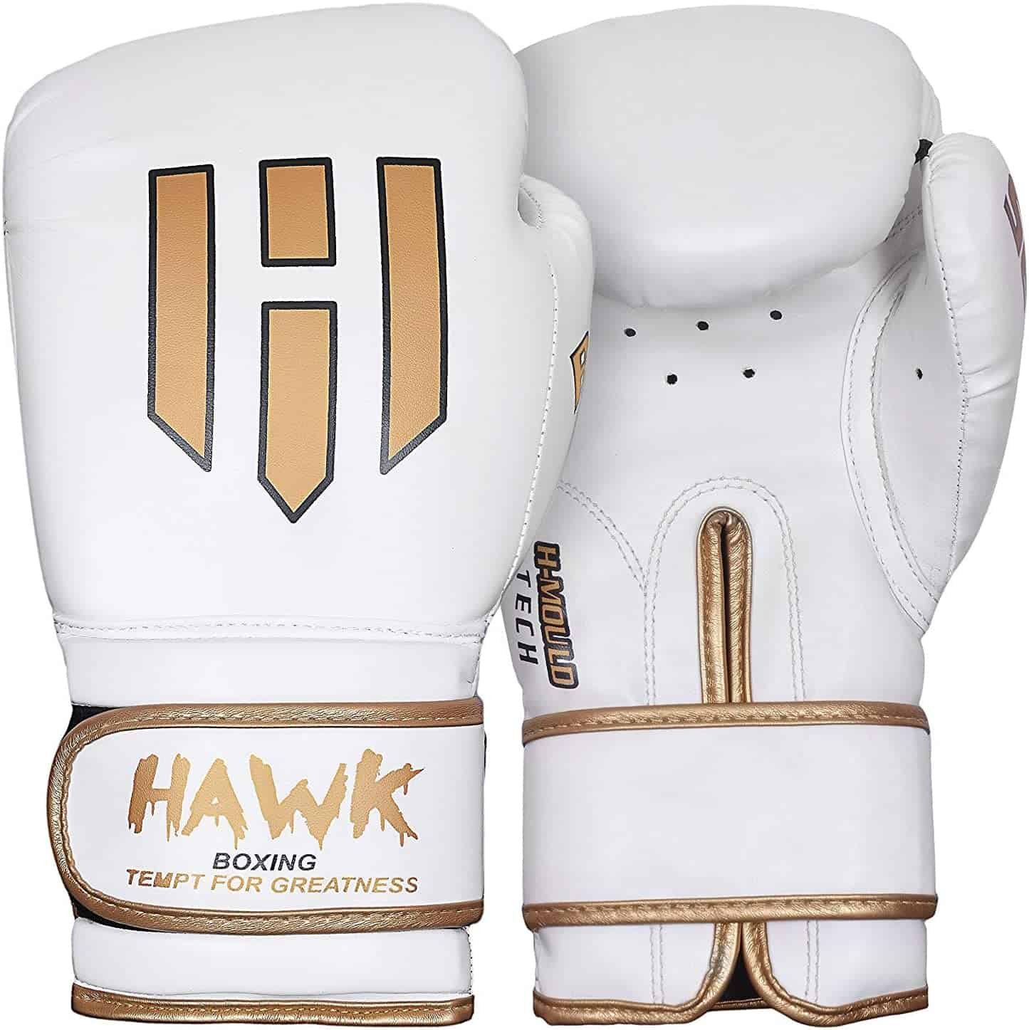 Best Boxing Gloves in 2021 21 Hawk Sports Boxing Gloves
