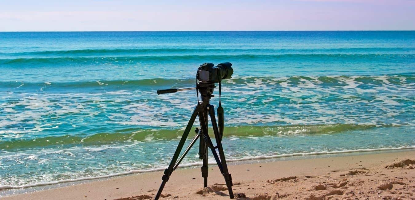 Best Camera Tripods in 2021 1 camera tripod