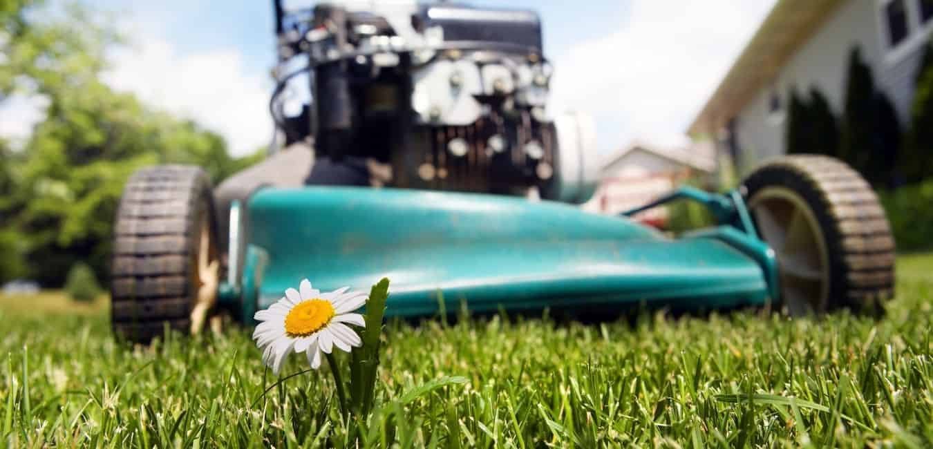 best lawnmower