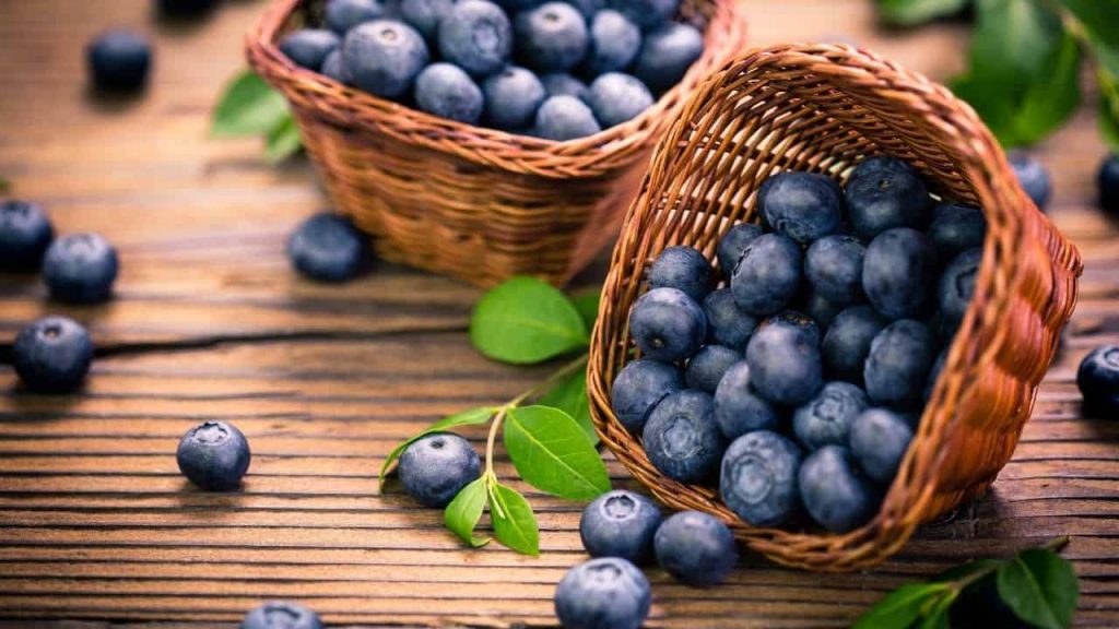 Blueberries superfood
