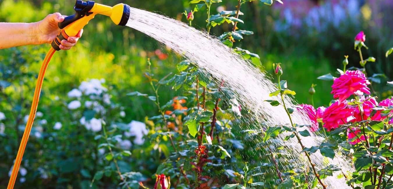 best expandable garden hose
