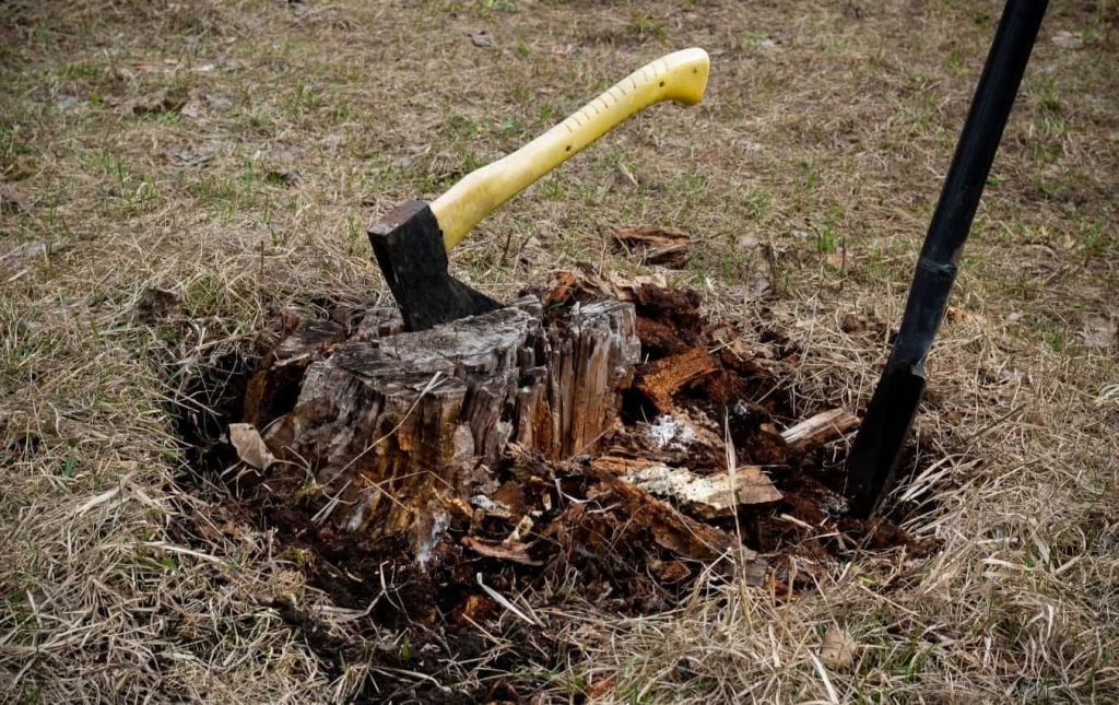 tree stump shovel