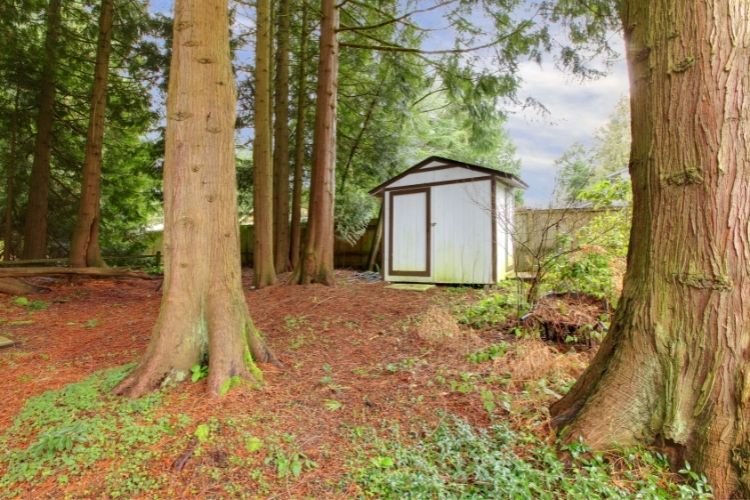 small shed