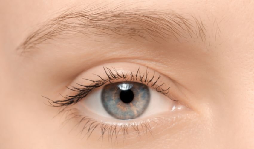 Long eyelashes (1)
