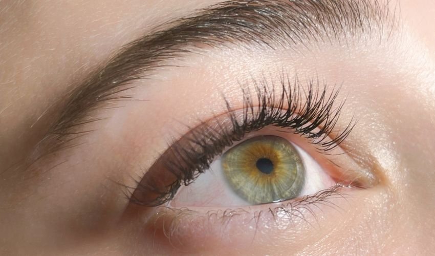 Long eyelashes