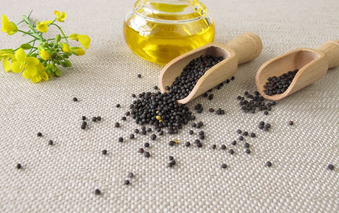 The Dangers Of Canola Oil The Mind Blown