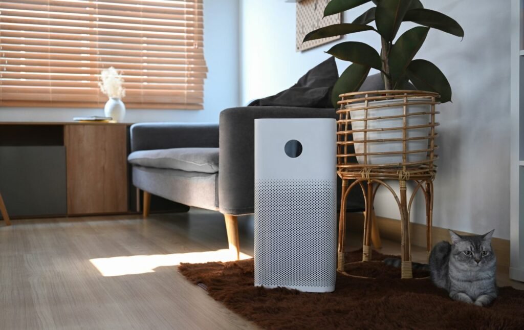 Air Purification in room